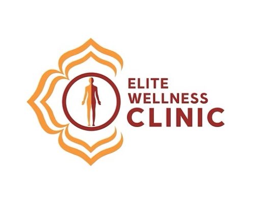 shmh-elite-logo shmh-elite-logo